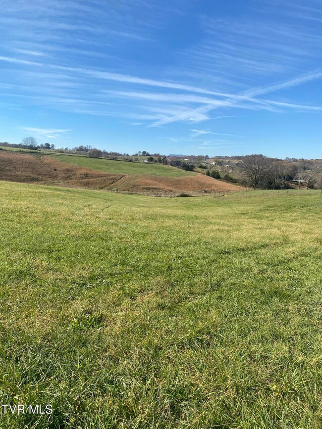 689 Painter Rd, Fall Branch, TN 37656 - photo 6