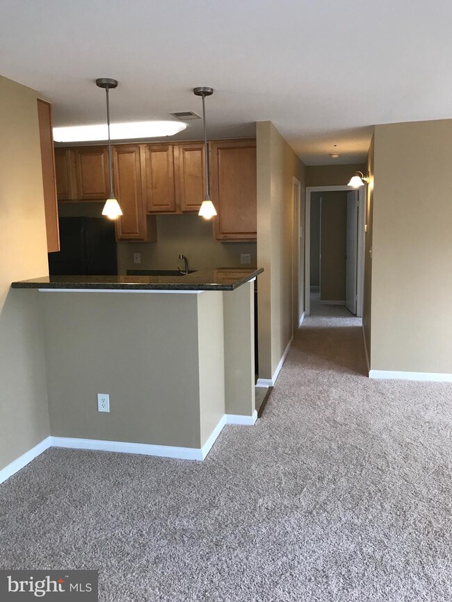 The Four Winds at Oakton unit 3-C2, Oakton, VA 22124 - photo 4