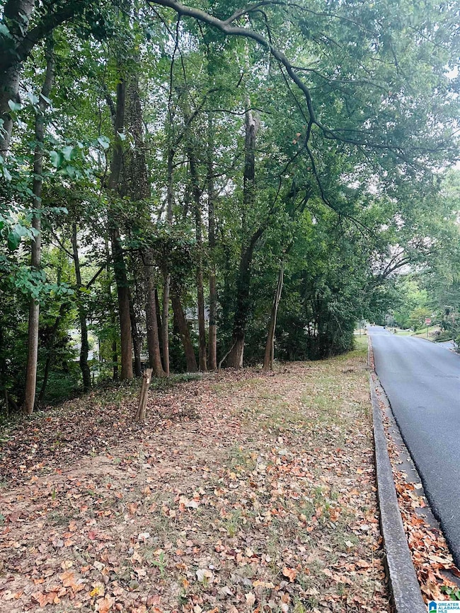 301 Laredo Dr, Birmingham, AL 35226 - photo 3