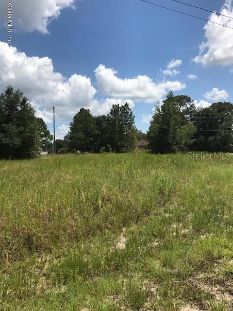 32 Pine Trace Loop, Ocala, FL 34472 - photo 2