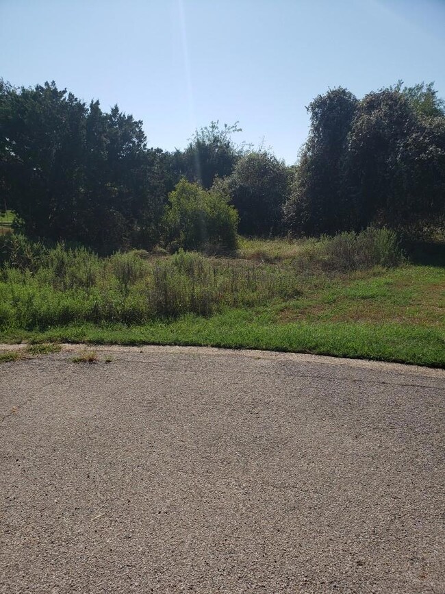 27124 Whispering Meadow, Whitney, TX 76692 - photo 3