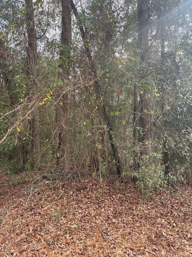 0 Choctaw Dr, Eufaula, AL 36027 - photo 4