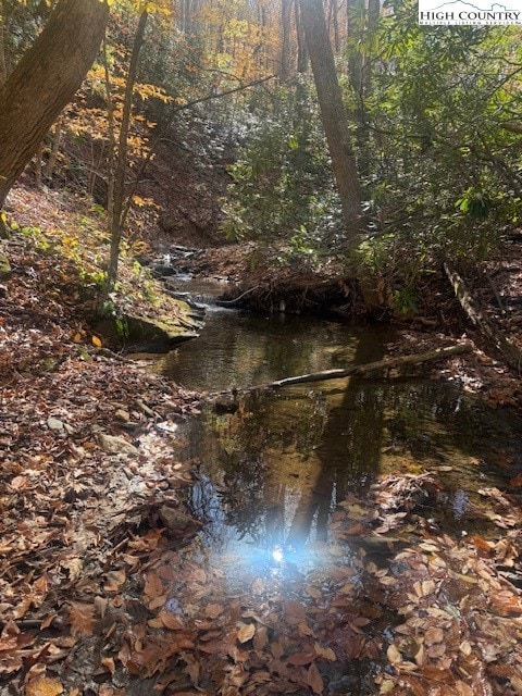 TBD N Old Hwy 16, Jefferson, NC 28640 - photo 3