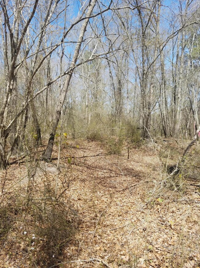 0 Ruddy Duck unit 100108774, Burgaw, NC 28425 - photo 4