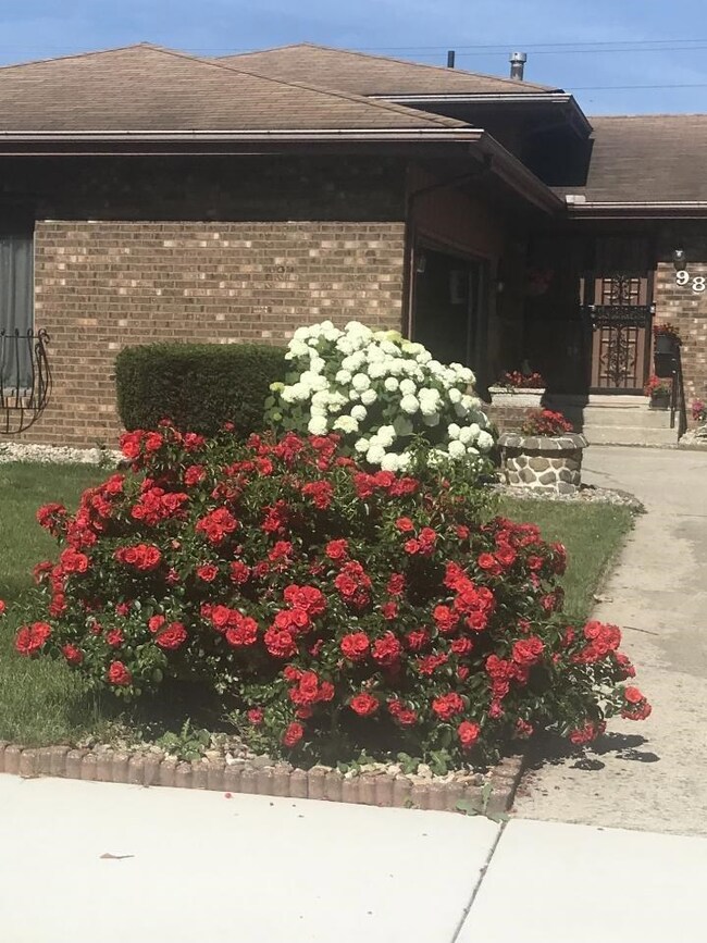 9806 Johnson St, Crown Point, IN 46307 - photo 6