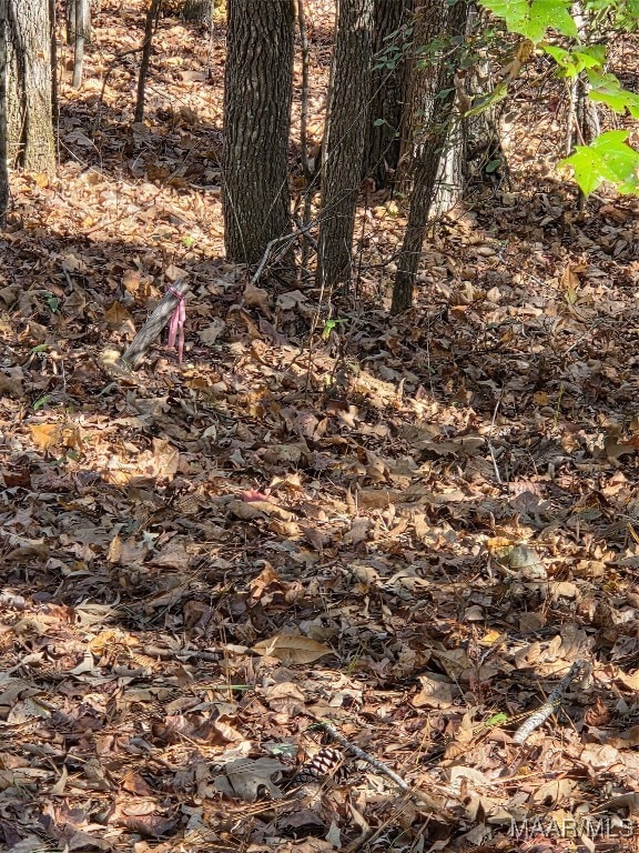 0 Parker Rd, Wetumpka, AL 360 - photo 4