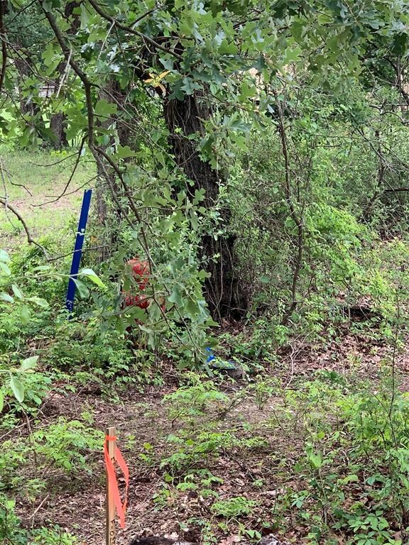 516 Oak Hill Trail, Azle, TX 76020 - photo 5