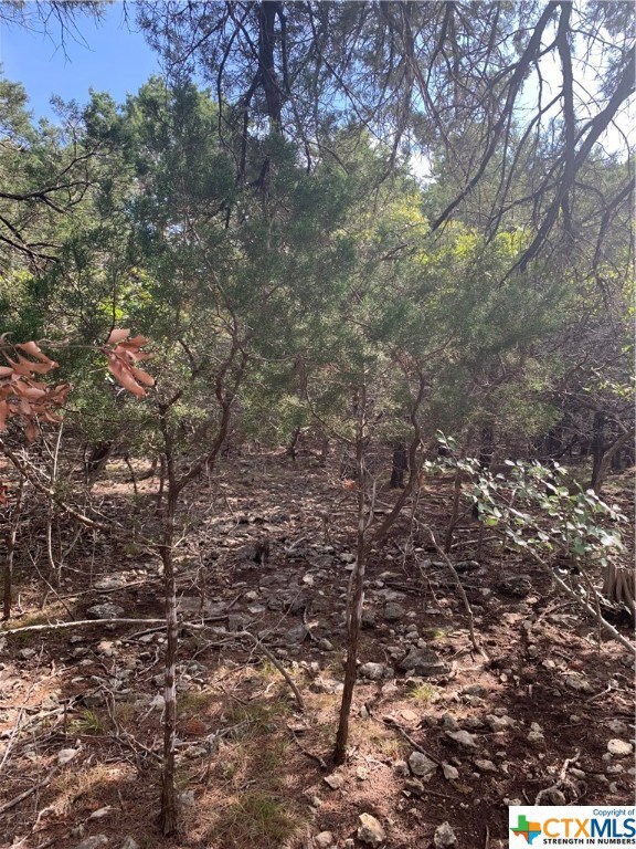 5519 Angelina, Temple, TX 76502 - photo 2