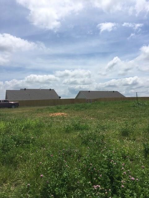 Lot 432 General McCrae, Prairie Grove, AR 72753 - photo 3