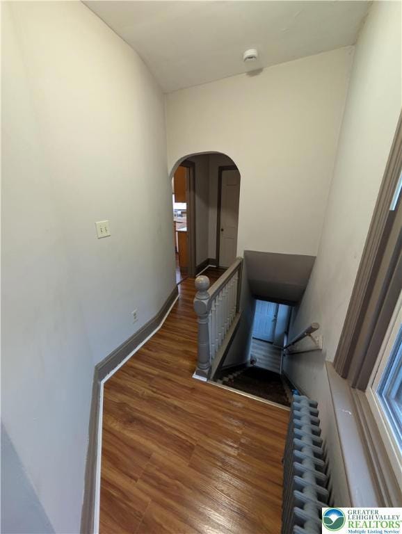 426 Carlton Ave unit 2, Bethlehem, PA 18015 - photo 3