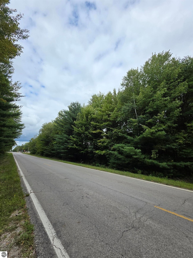 TBD S Chippewa Rd, Mount Pleasant, MI 48858 - photo 7