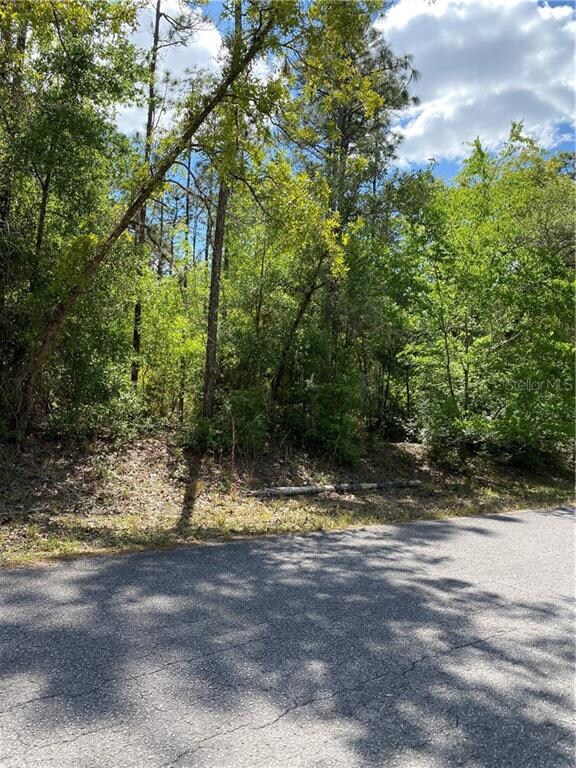 00 SW 209 Ct, Dunnellon, FL 34431 - photo 4