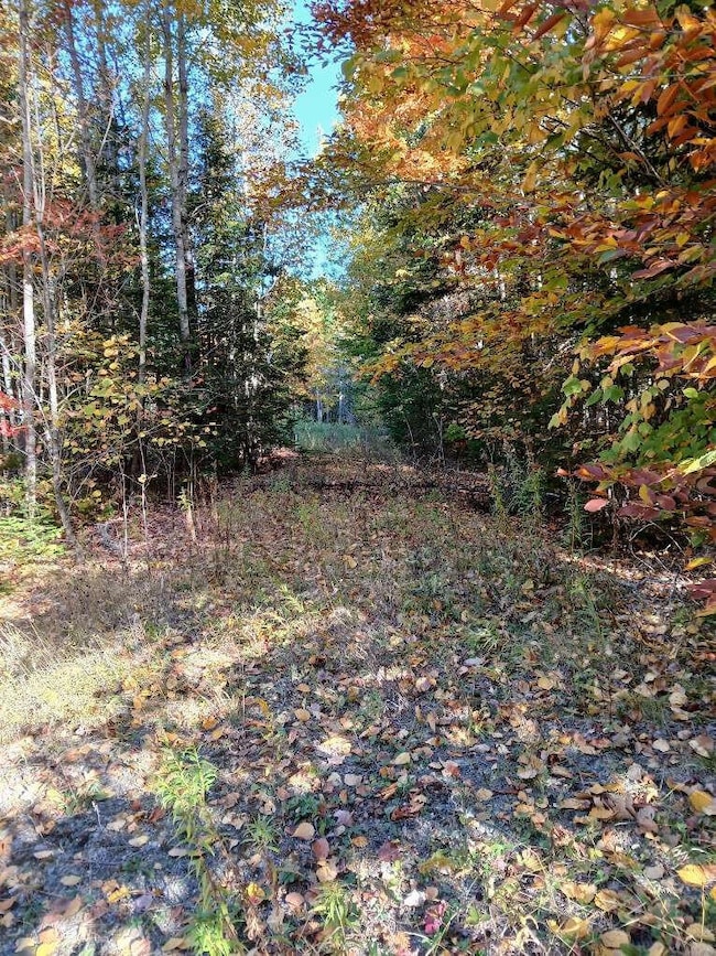 Lot 85 Woodland Ridge Rd, Danforth, ME 04424 - photo 3