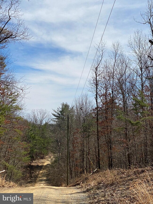 24 Pine Crest Ln, Winchester, VA 22603 - photo 3