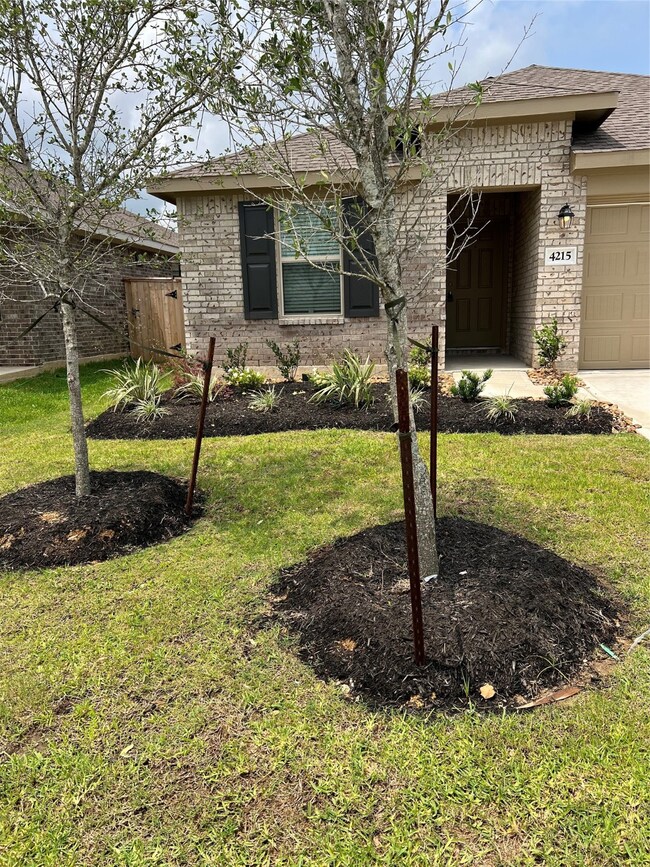 4215 Aliaga Arbor Trail, Baytown, TX 77521 - photo 3