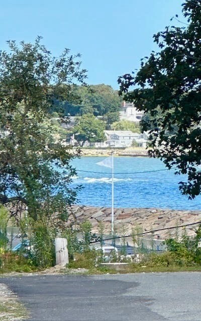 2 Goddard Dr, Nahant, MA 01908 - photo 5