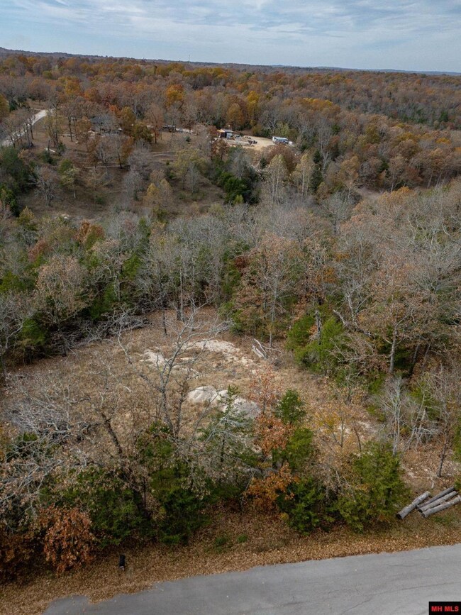 002-10735-000 Wildwood Cir, Mountain Home, AR 72653 - photo 6