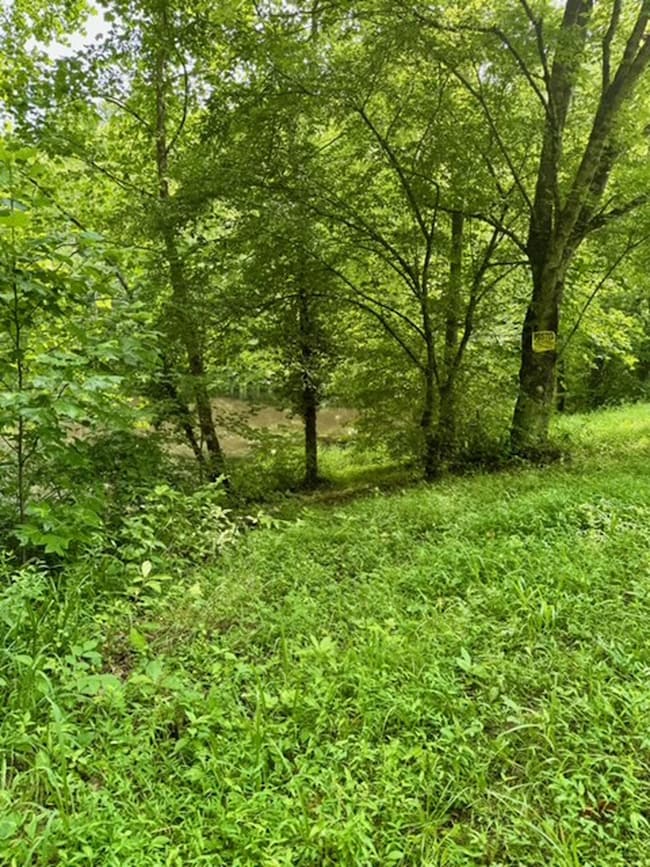 0 Chapel Hollow, Argillite, KY 41144 - photo 5