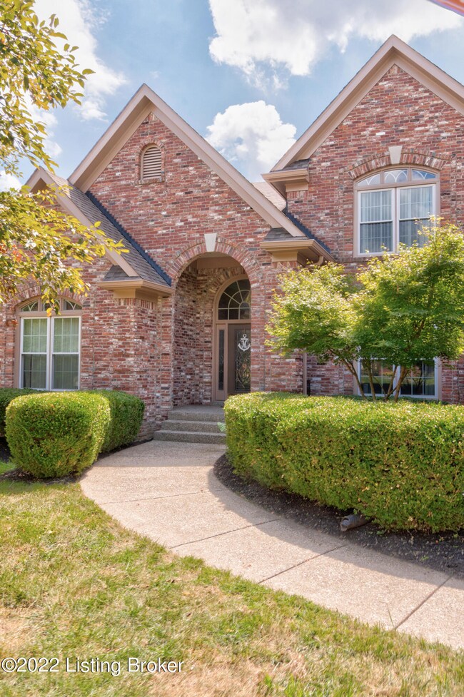 12905DeerRoss-4
