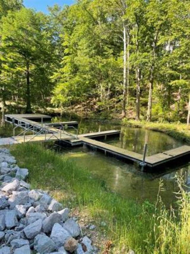 LOT 24 Spyglass Loop, Cherokee, AL 35616 - photo 7