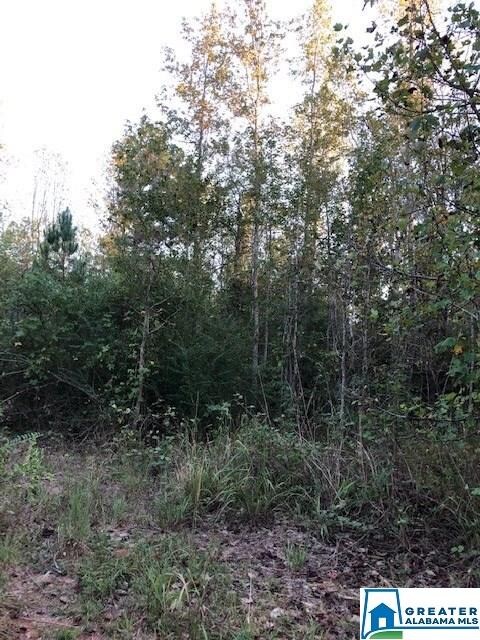 0 County Road 2441 unit 5.21 acres 864793, Wedowee, AL 36278 - photo 2