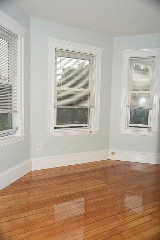 85 Franklin St unit 2, Brookline, MA 02445 - photo 6
