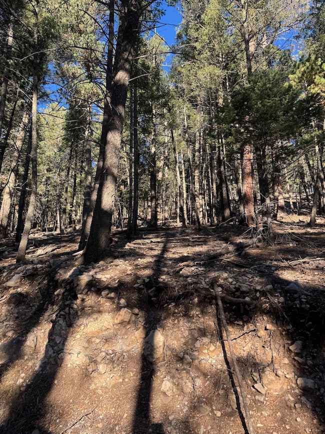 0 Forest View Rd unit 171893, Cloudcroft, NM 88317 - photo 6