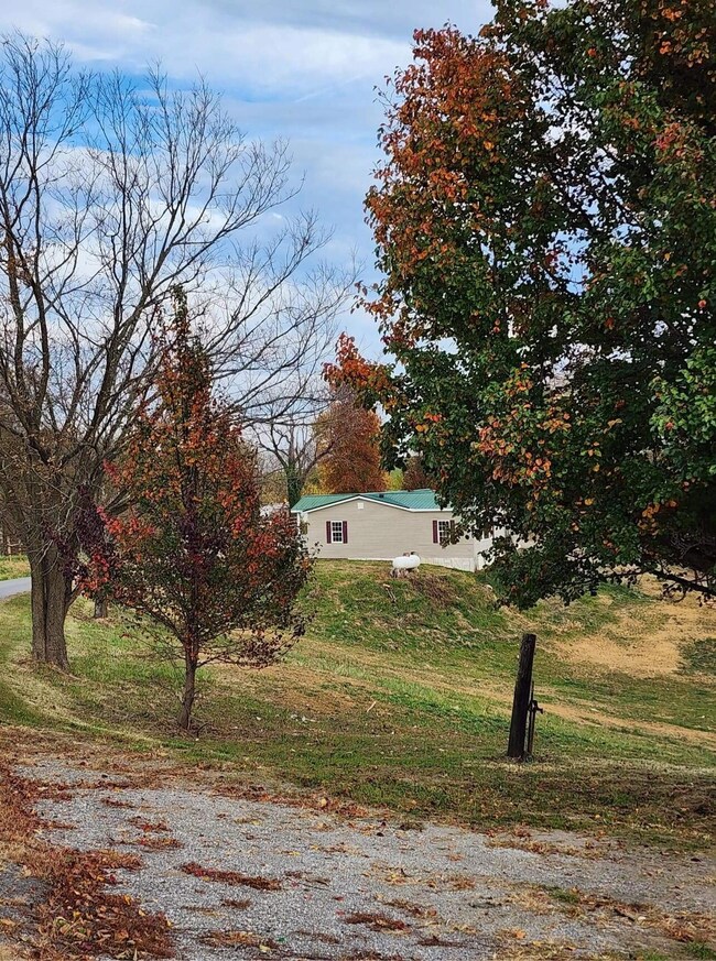 2443 Tea Run Rd, Ewing, KY 41039 - photo 7