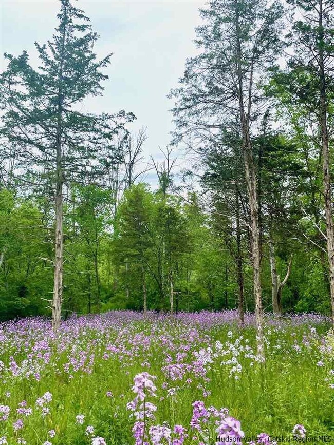 2015 Berme Rd, Kerhonkson, NY 12446 - photo 3