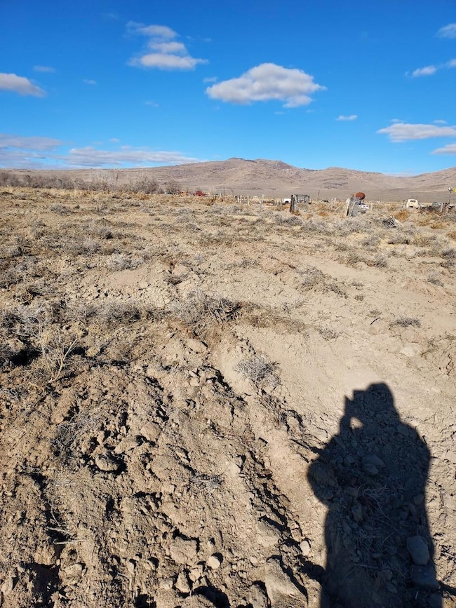 469-400 Helman Ln, Wendel, CA 96136 - photo 7