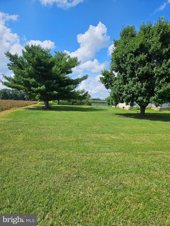 571 Mulberrie Point Rd, Frederica, DE 19946 - photo 7