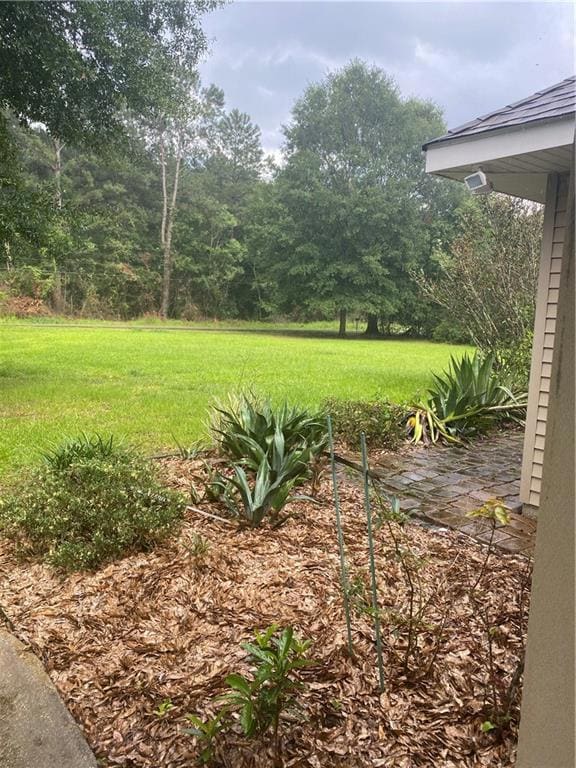 49075 Tin Can Aly, Tickfaw, LA 70466 - photo 4