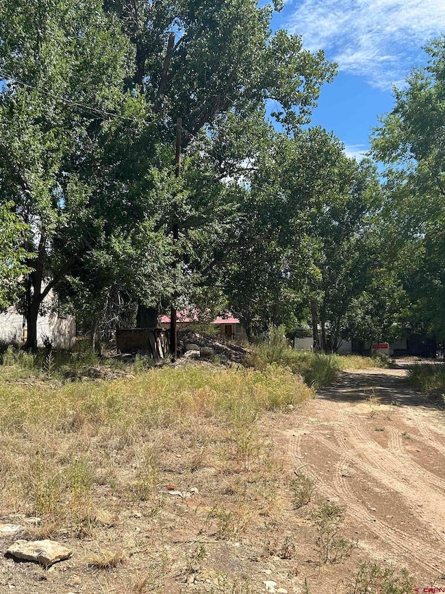 610 Grape St, Nucla, CO 81424 - photo 5