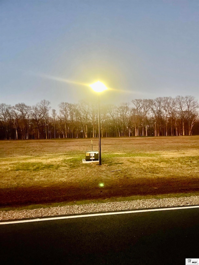 9125 Desiard Trace, Sterlington, LA 71280 - photo 7