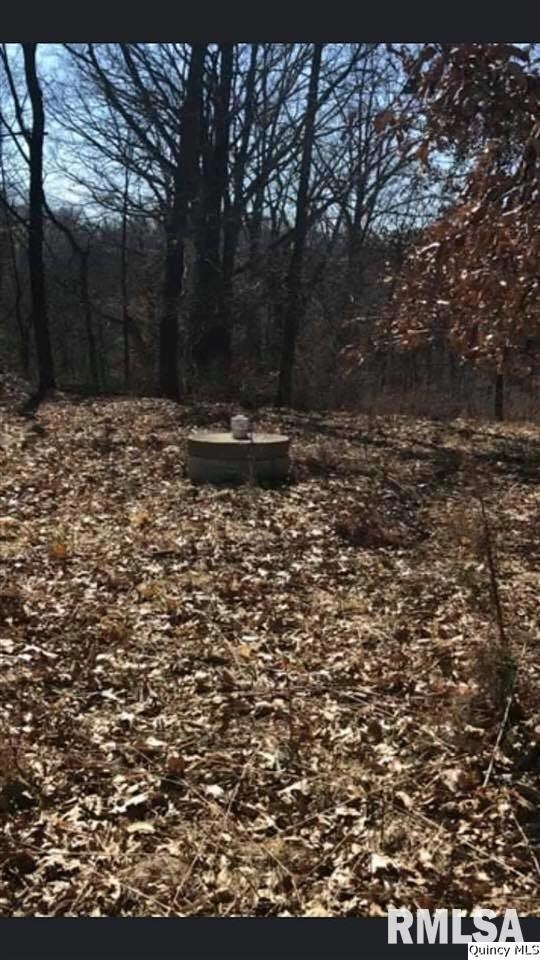 0 Pt Nw (Part of Lot 1) Sec 6 unit CA199119_1, Mt. Sterling, IL 62353 - photo 5