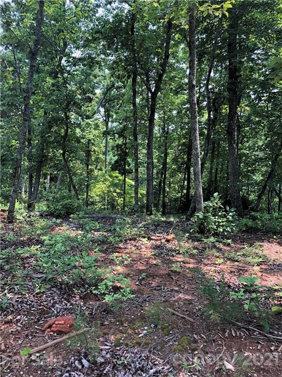 0 Lure Ridge Dr unit 26 3770330, Lake Lure, NC 28746 - photo 6