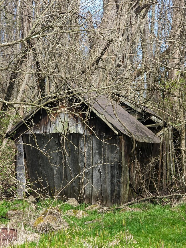 PXL_20240407_180441301
