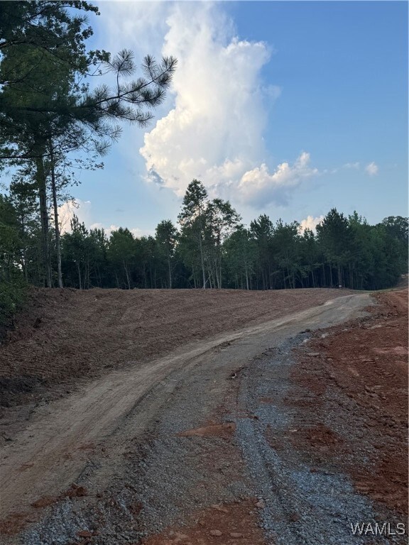 22 Cedar Ridge Dr, Northport, AL 35475 - photo 6