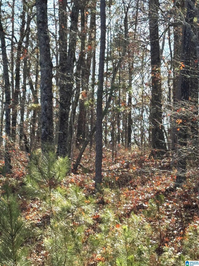 0 Arrowhead Dr unit 21437906, Delta, AL 36258 - photo 7