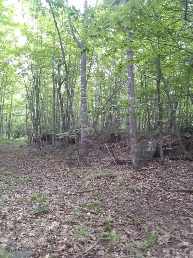 3273353094616445308