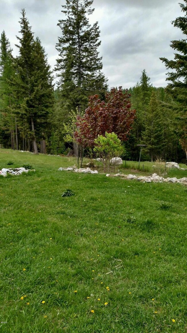 970 Spring Hill Rd, Kila, MT 59920 - photo 3