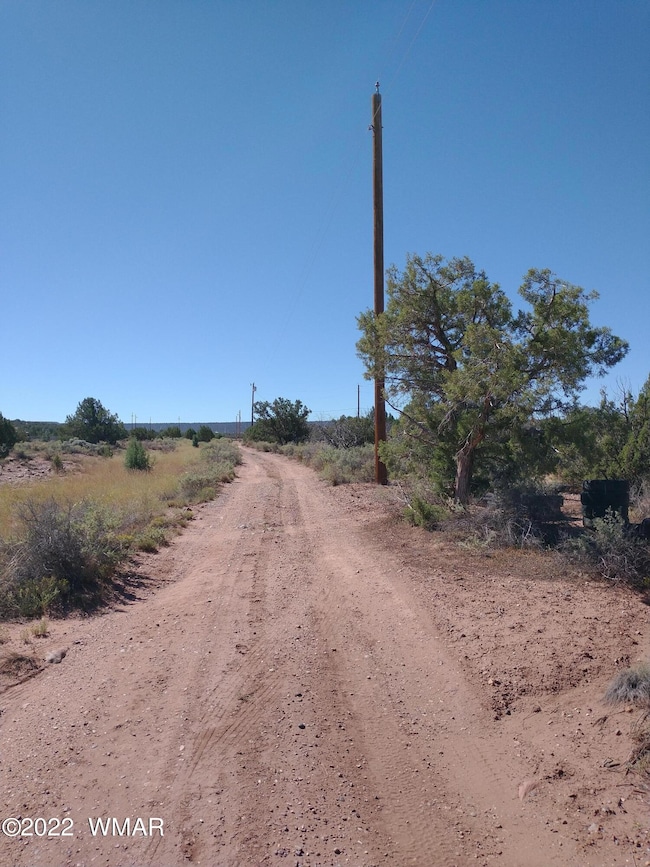 4253 Indian Bend Rd, Snowflake, AZ 85937 - photo 4