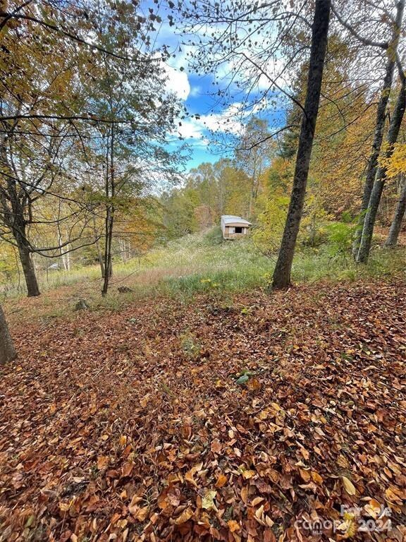 0 Corn Mountain Rd unit CAR4116876, Hendersonville, NC 28792 - photo 7