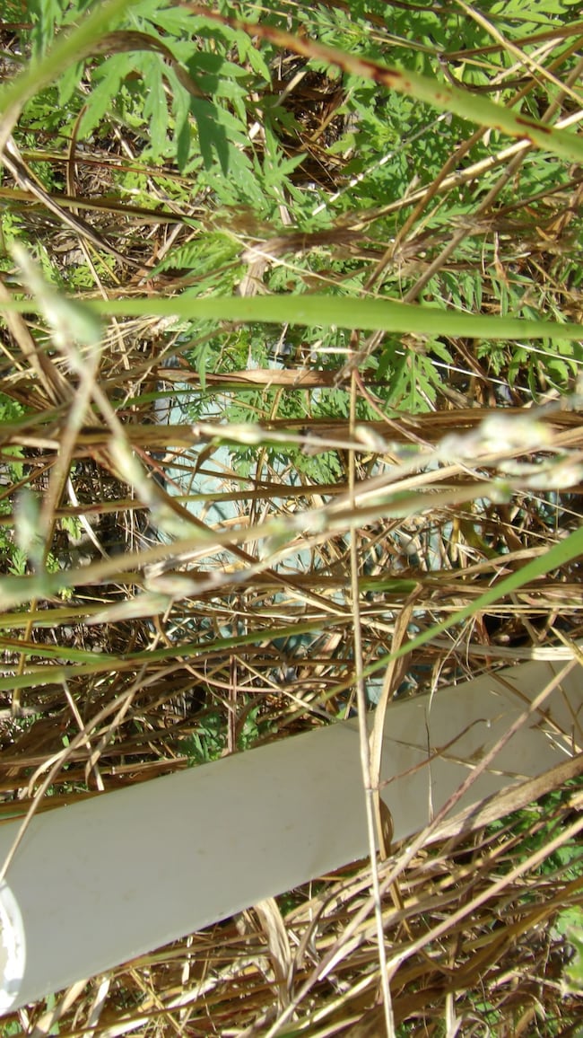 17 D Crappie Ln, Hilham, TN 38568 - photo 3