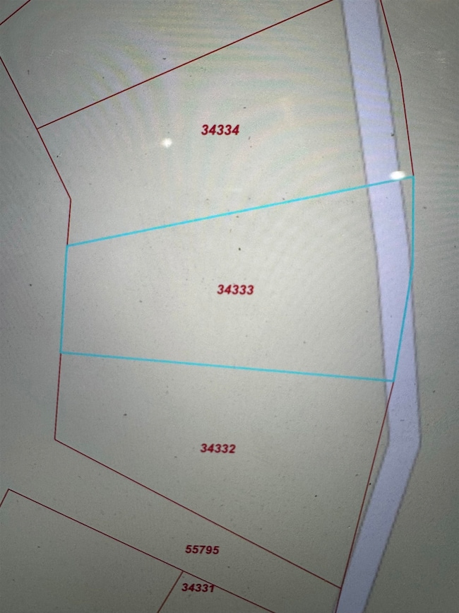 171 Sassafras unit Lot 171, Brookeland, TX 75931 - photo 3