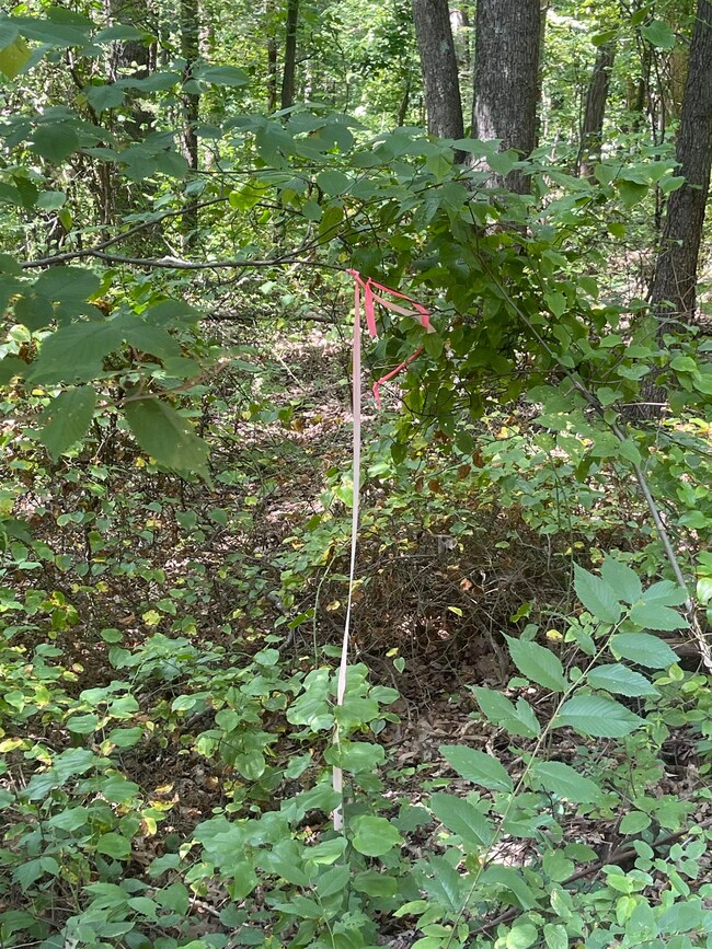 Lot B8 Cross Mountain Rd, Luray, VA 22835 - photo 7