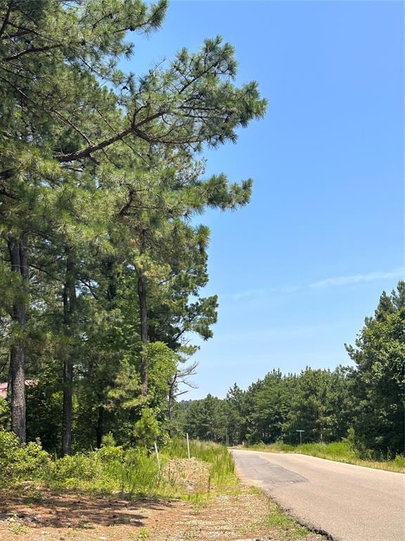 202 Crooked Cedar Trail, Hochatown, OK 74728 - photo 5