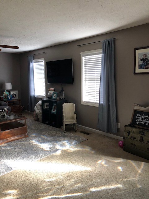 225 Edgeview Dr, Shelbyville, TN 37160 - photo 7