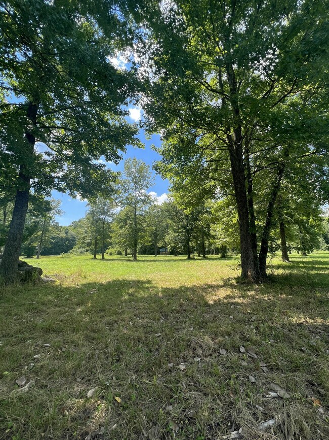 0 Matlock Dr unit RTC2482950, Chapmansboro, TN 37035 - photo 4