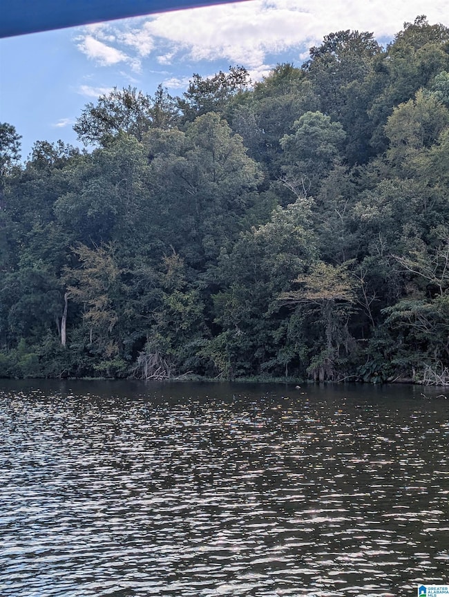 0 County Road 834 unit 3 acre, Clanton, AL 35046 - photo 2